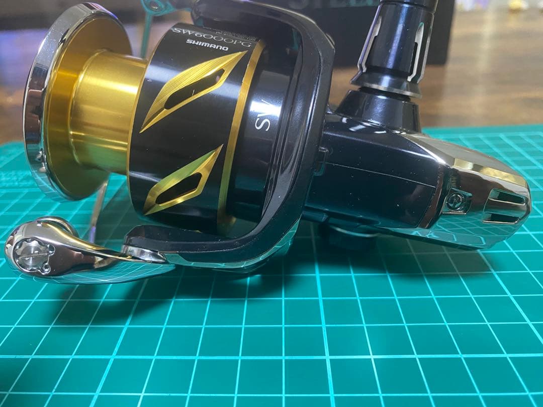 20 ステラ sw 6000pg