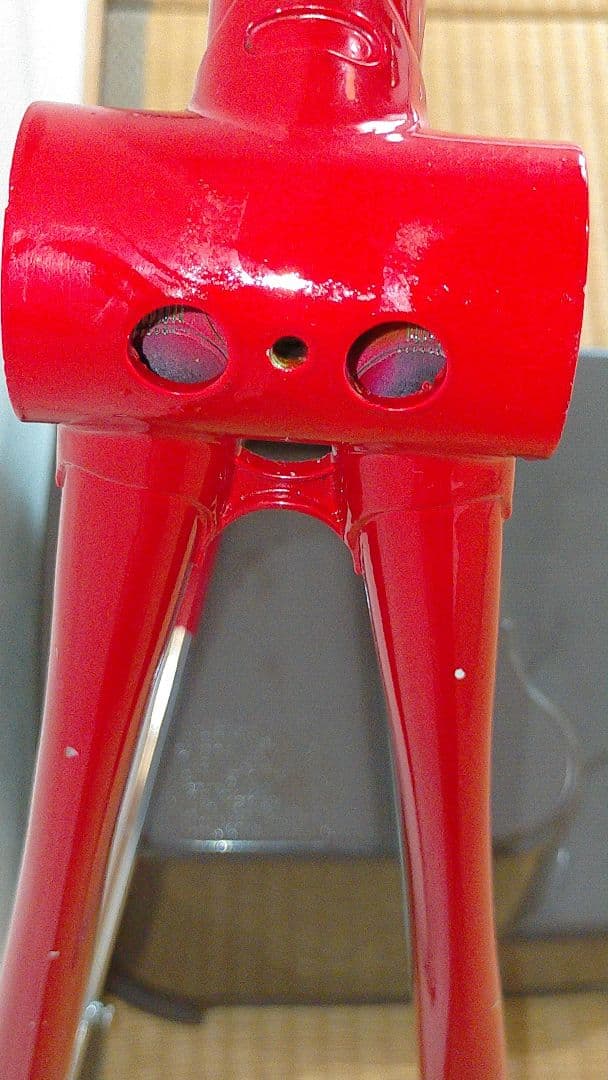 エクタープロトン フレームセット