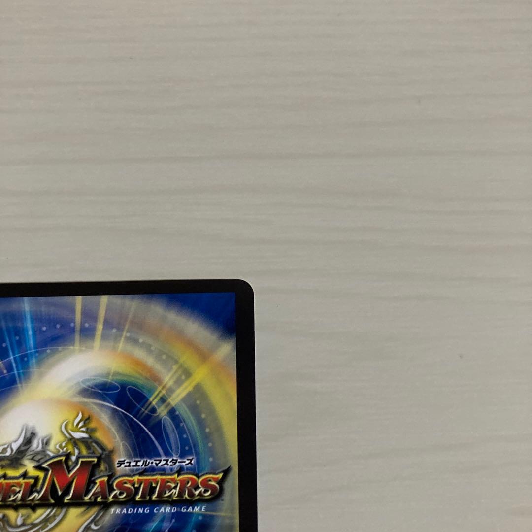 メルカリ便 聖霊超王 Hアルカディアス 秘 シク シークレット 2枚セット