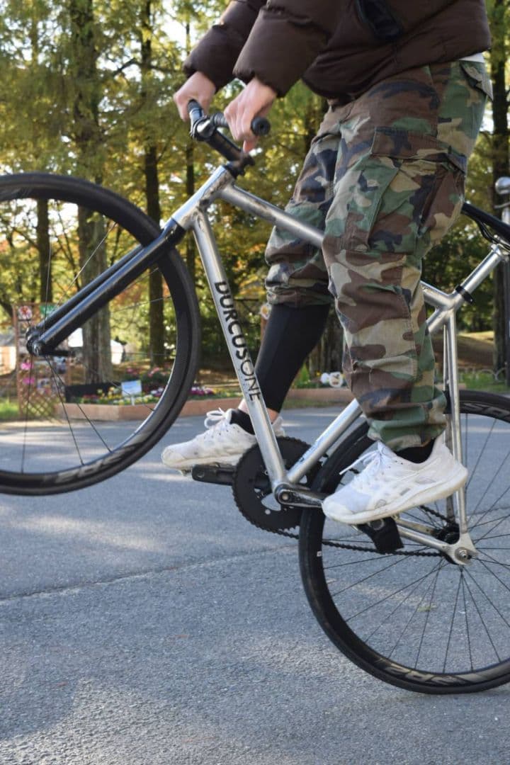 ダーカスワン　マスター前期　完成車