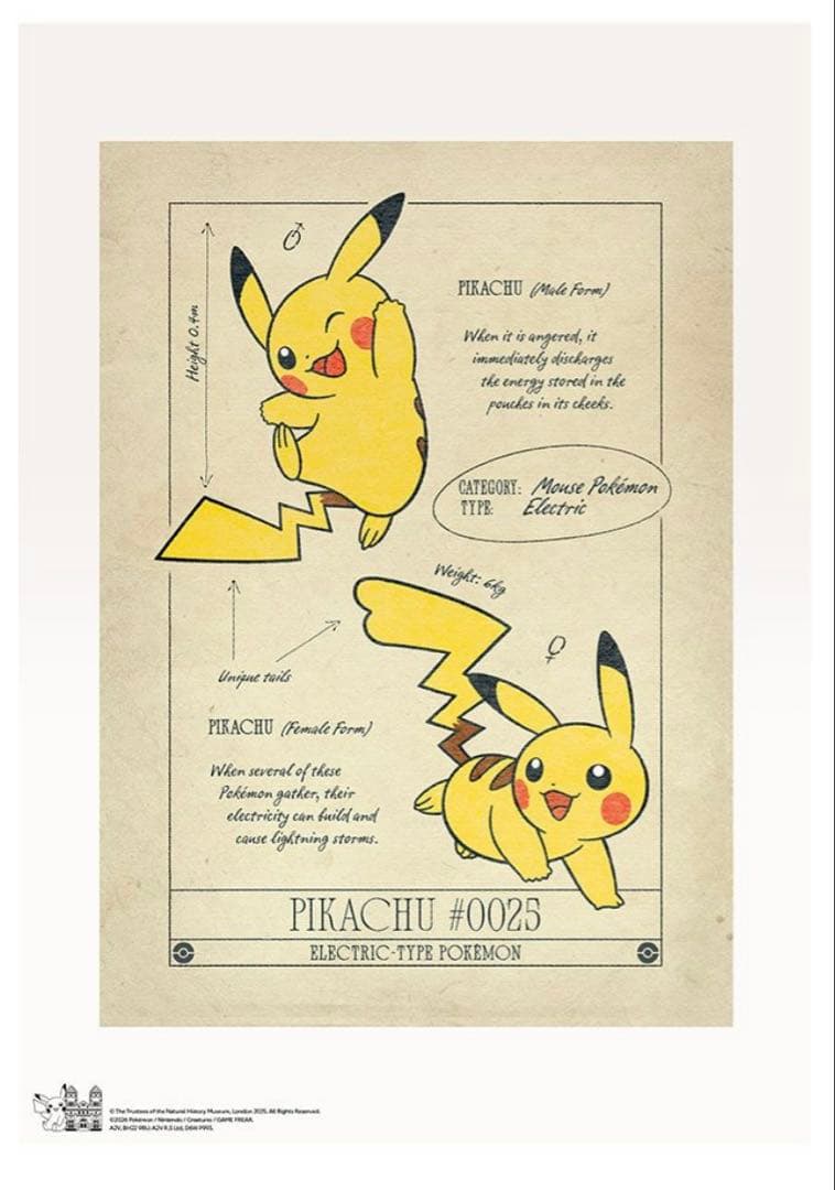 【希少新品】ポケモン30周年ロンドン自然史博物館コラボA3ポスターピカチュウ