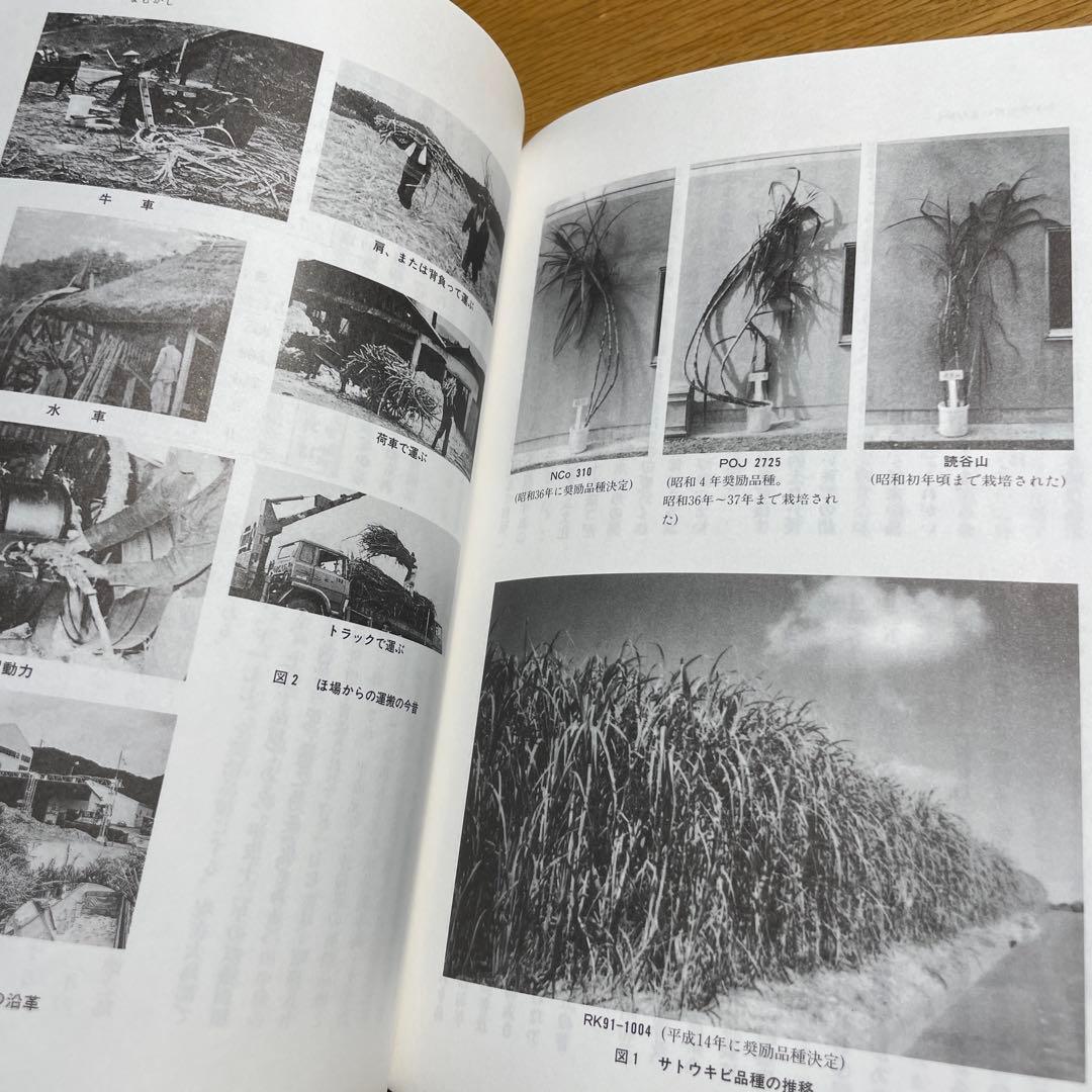 奄美復帰５０年 - ヤマトとナハのはざまで　現代のエスプリ別冊