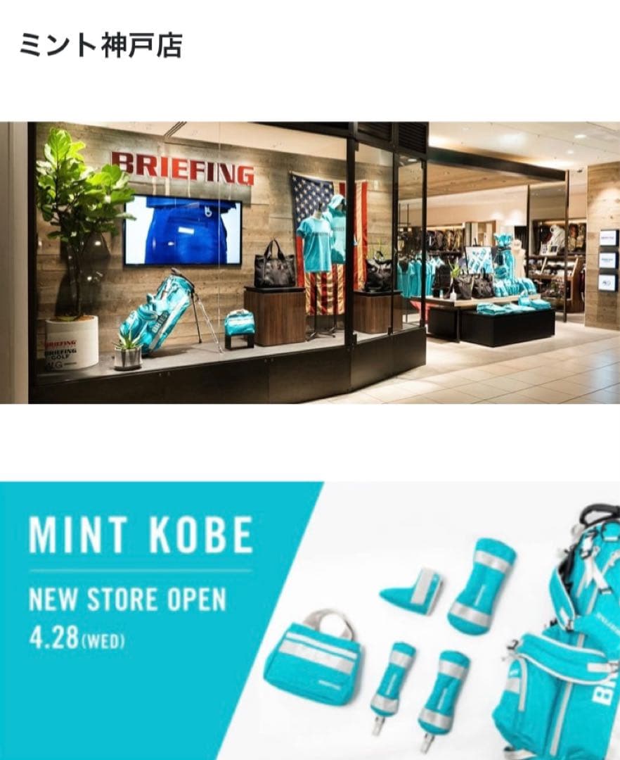 限定モデルBRIEFING スタンドバッグ キャディバック