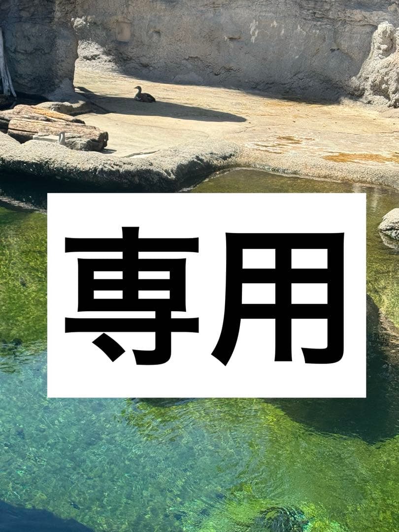 コムドットくじ 2 ぬいぐるみ ゆうた