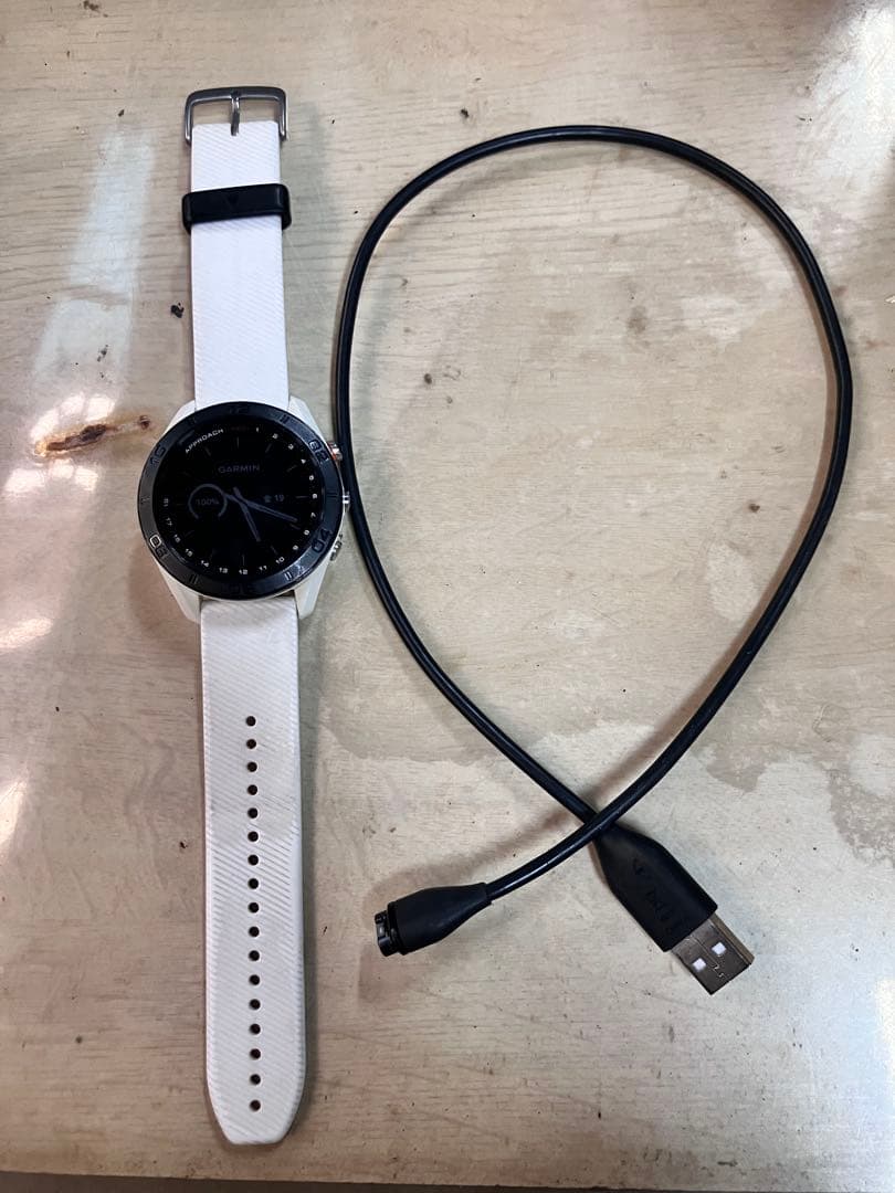 が*ん様 GARMIN gapproach s60