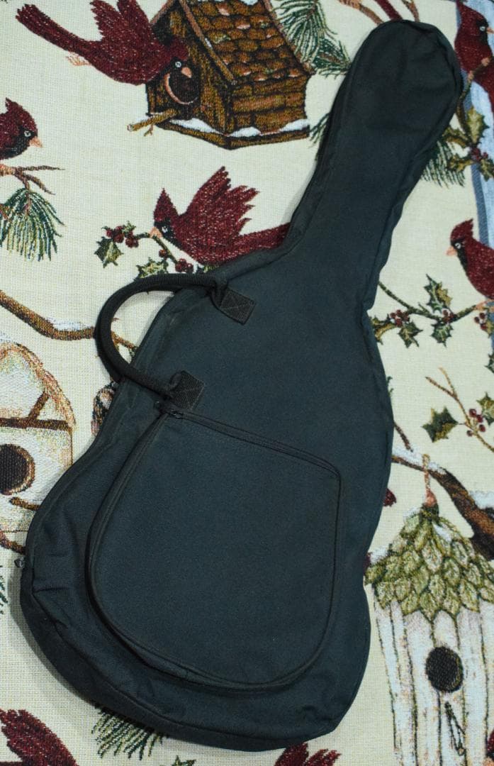 Burny Fernandes LG-480 SLG-50 ソフトケース付