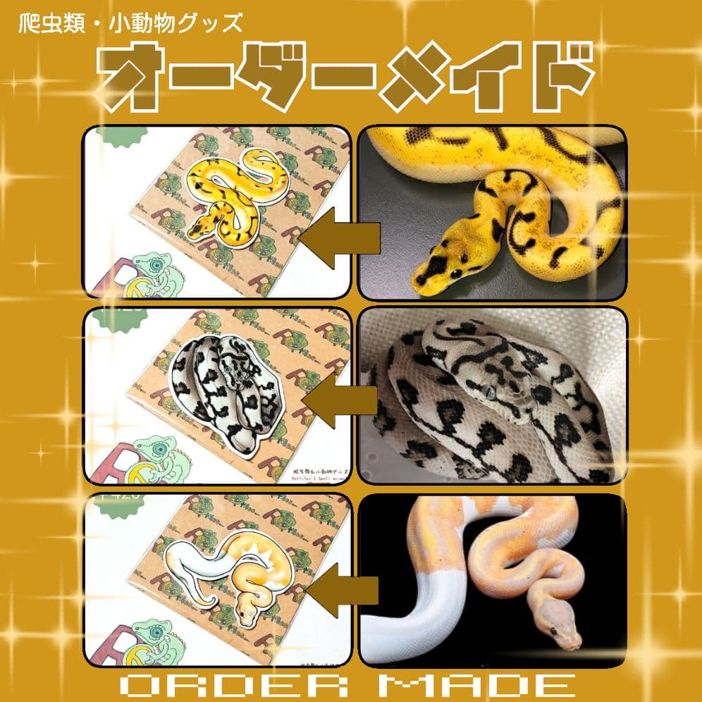 【オーダーメイド】ENOGU 爬虫類ステッカー