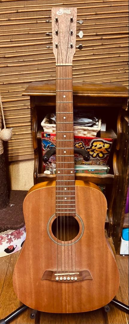 Sylan アコースティックギター 6弦 ⚠️新品の弦もついてきます
