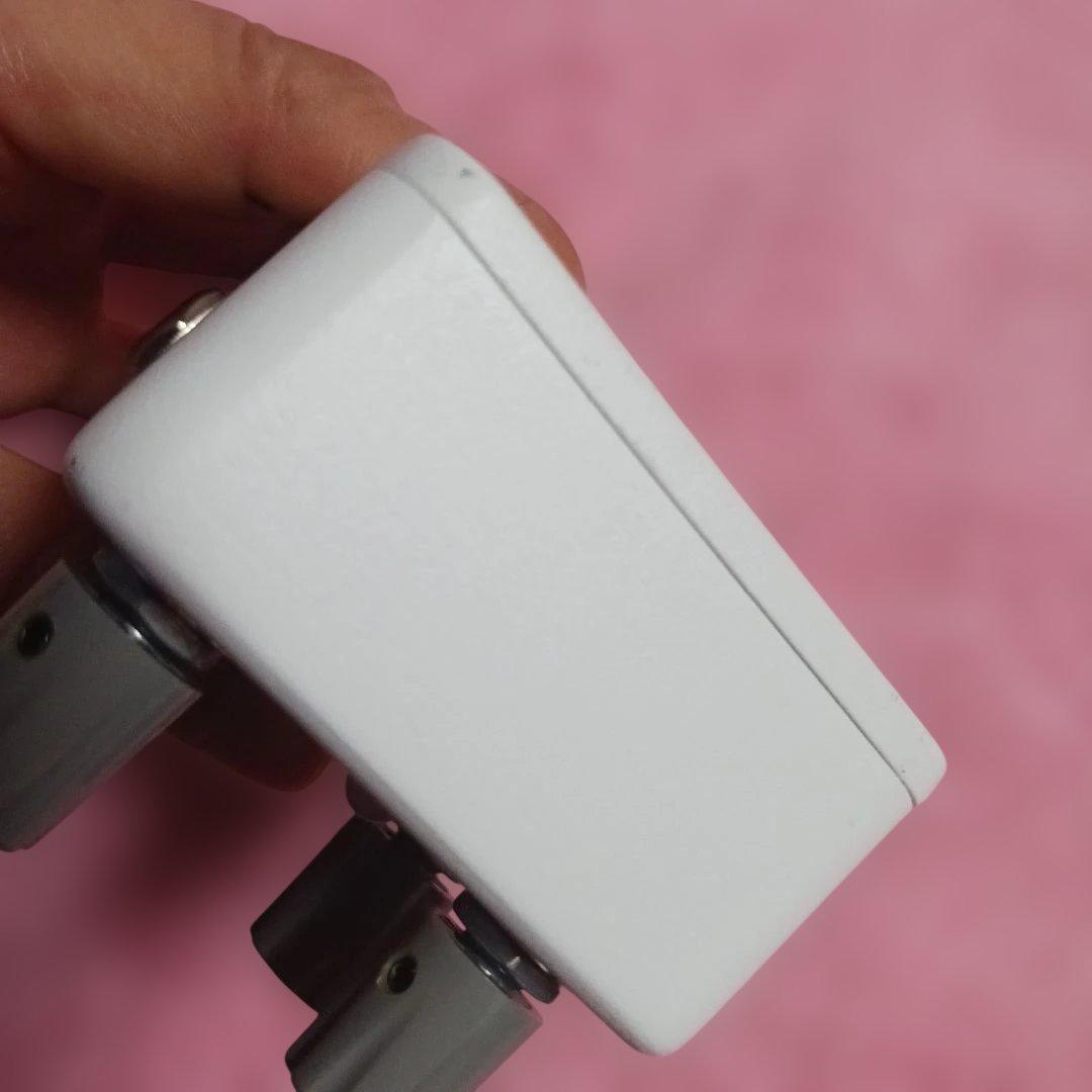 Animals Pedal Sunday Afternoon（ファズ）