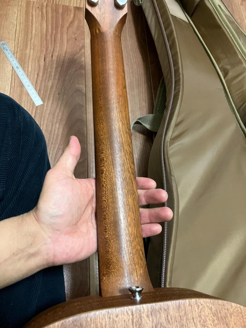 Taylor BT1 ピックガード後付け　ギグバッグ付き