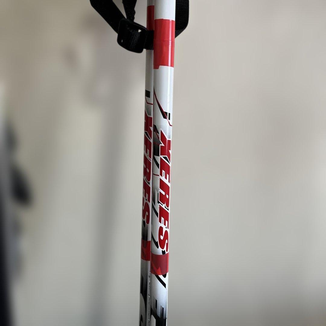 ROSSIGNOL DEMO BETA 166cm スキー板 ストック