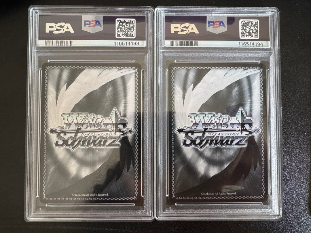 最終値下げ　精神的露出狂アーリャ　思い出の場所マーシャ　sp psa10 連番