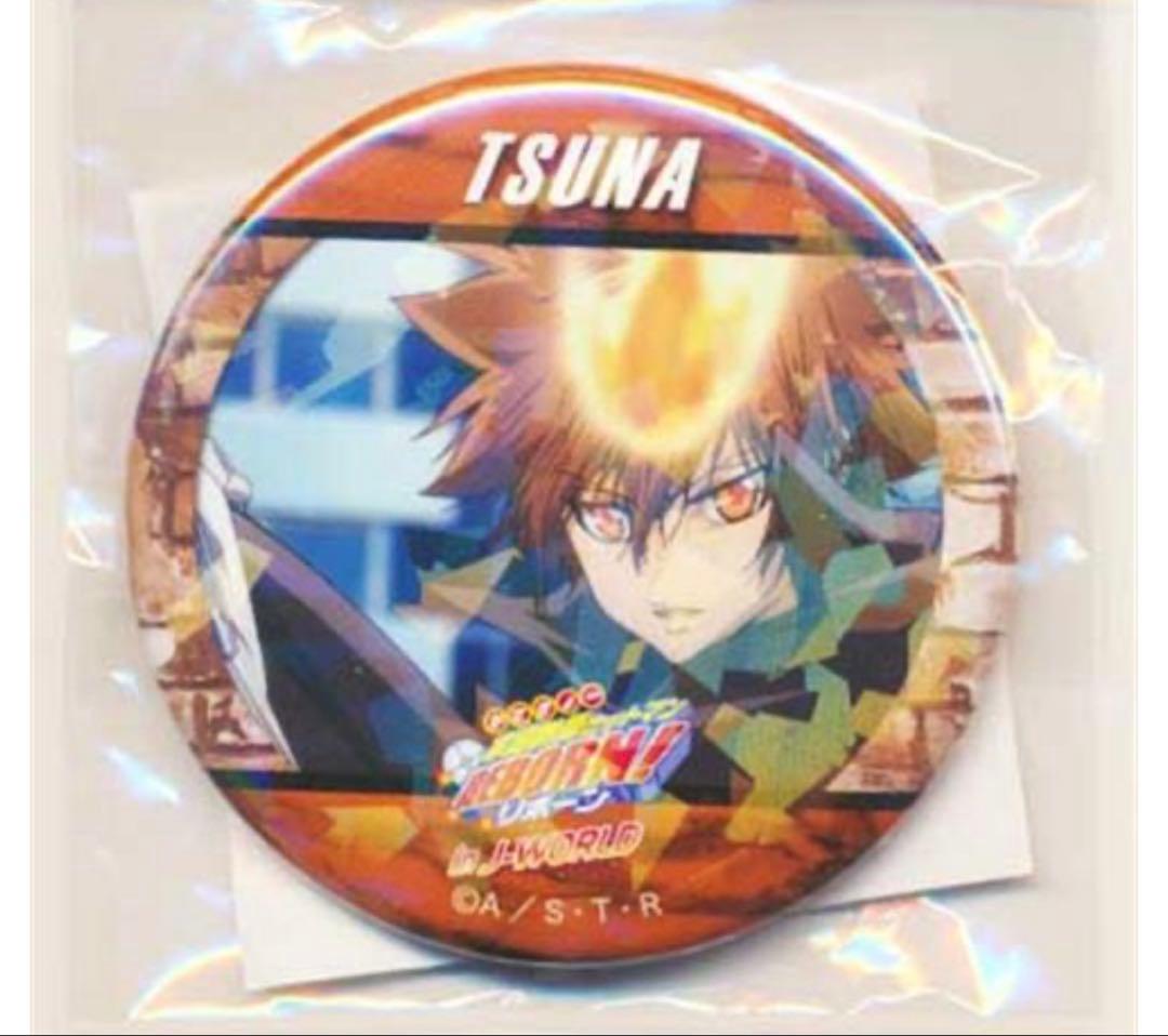 家庭教師ヒットマンREBORN! 56mmホログラム缶バッジ 沢田綱吉 新品