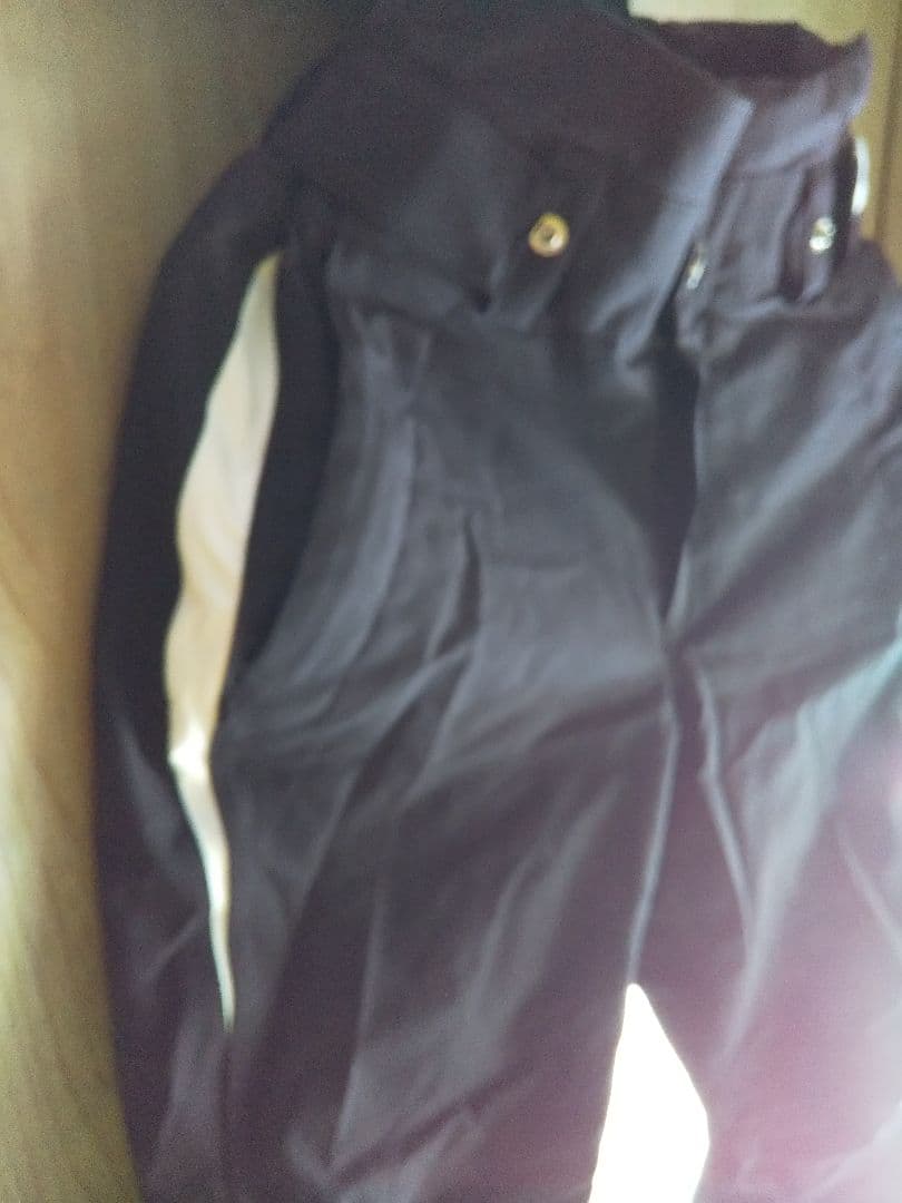 未使用保管品  フェニックス上下 M