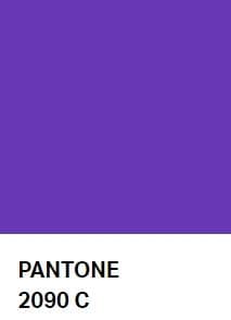 けんた！ラスト1本！CHRISTENSON　クリステンソンフィッシュ5'6