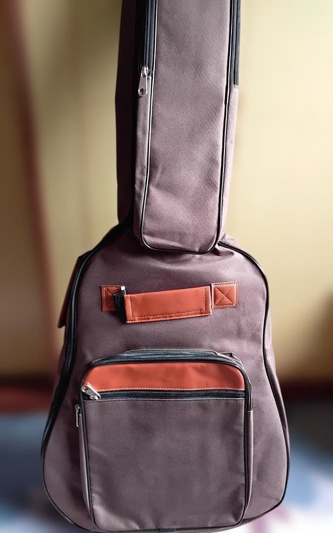 最終値引き【美品】Taylor Academy 12e　新品ギグケース