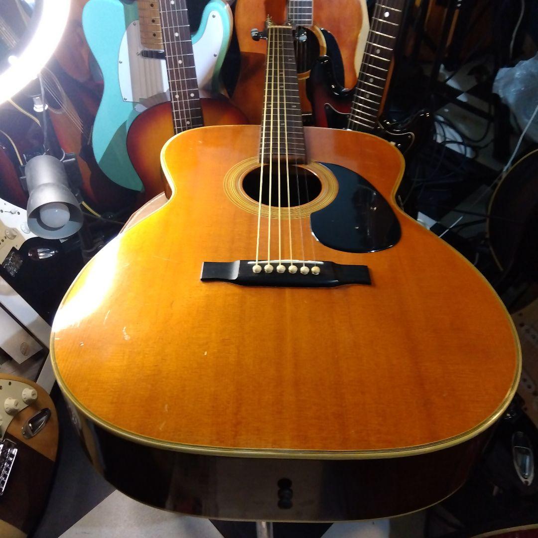 Greco、アコースティックギター！