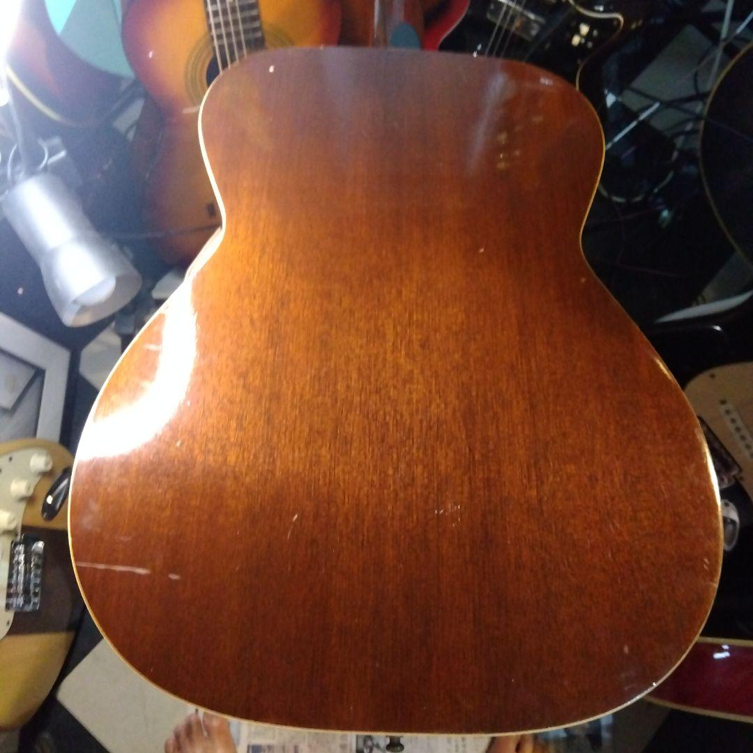 Greco、アコースティックギター！