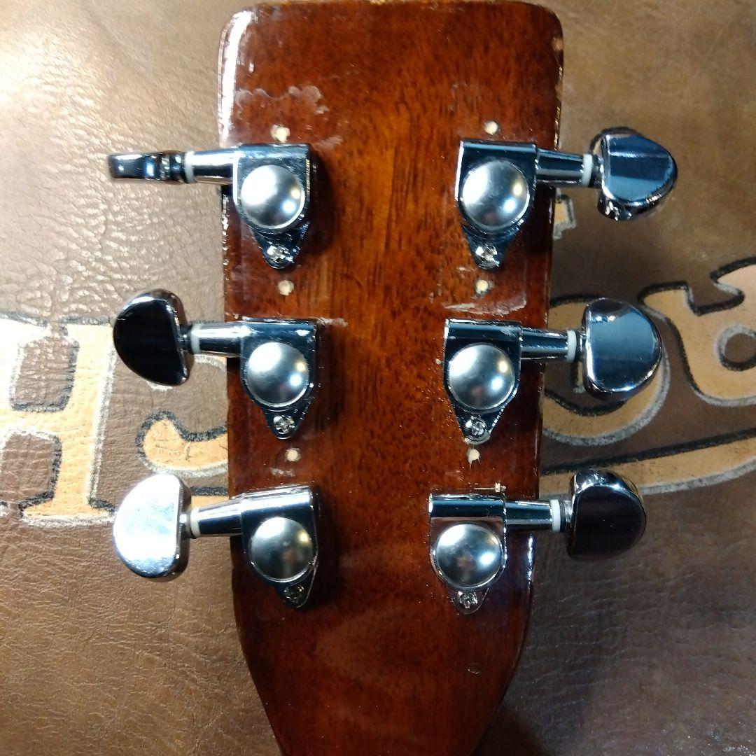 Greco、アコースティックギター！