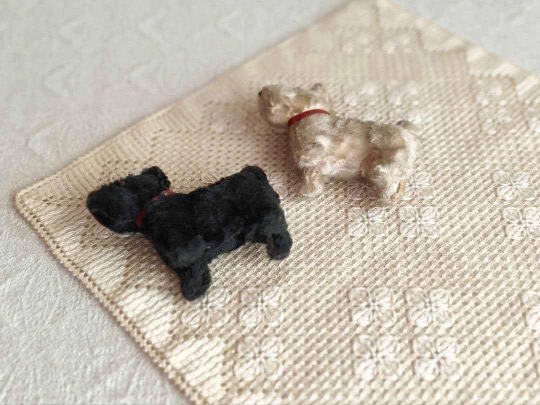 * vintage teria ❀ クリーム色の毛並みの テリアさん