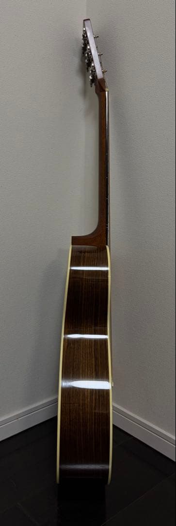 ギター Martin OMJM john mayer lrbaggs HIFH Duet