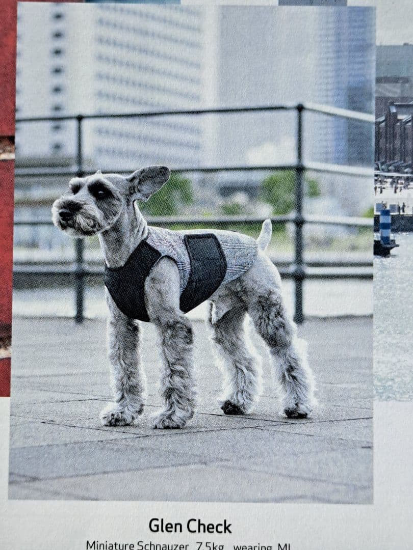 アルファアイコン　エアライナー　LL