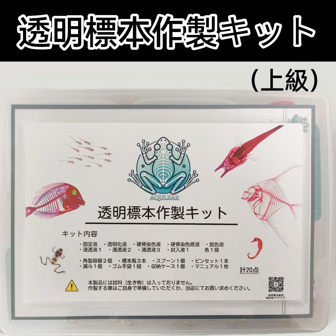【透明標本作製キット】(上級) 20点　自由研究 学習教材 改良版