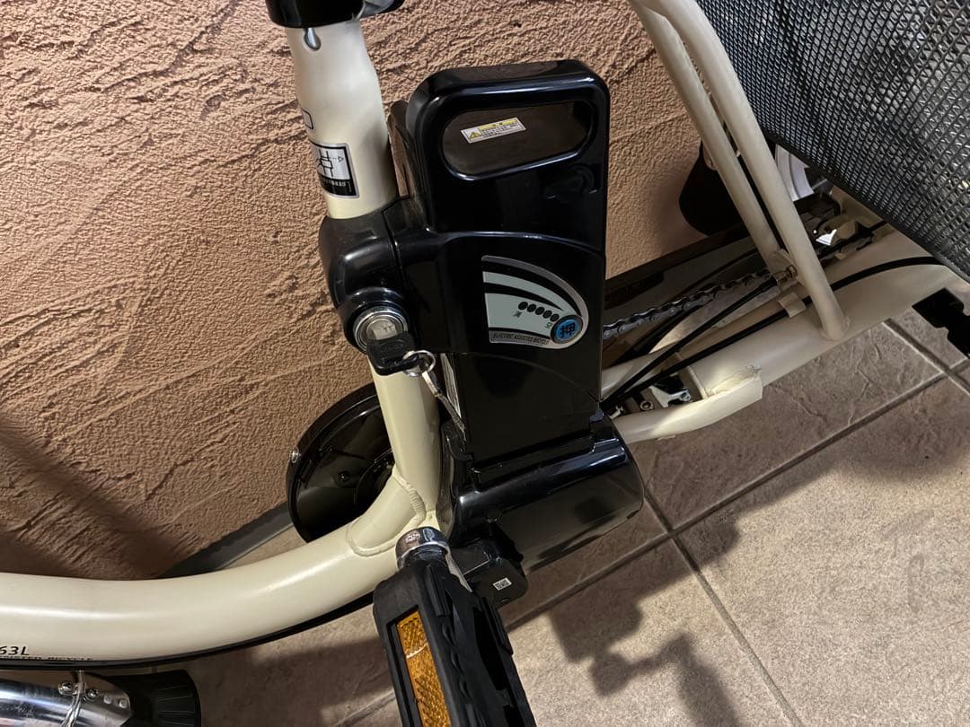 2025年3月購入品⭐︎電動アシスト自転車peltech tdr-163三輪自転車