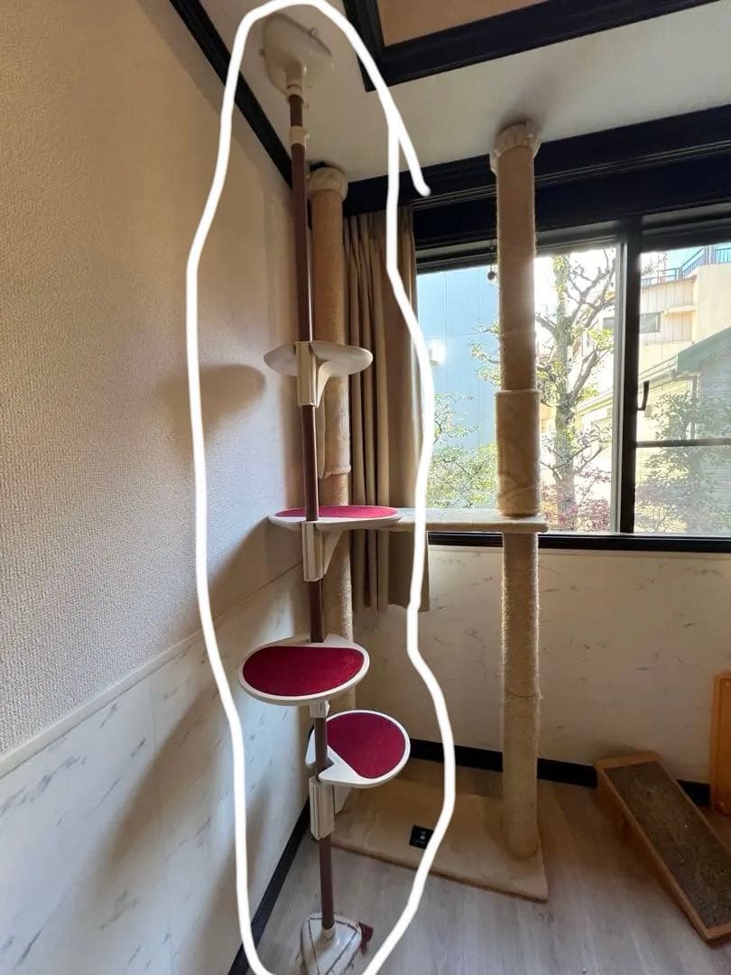 キャティマン Nekoリング キャティボールハンモック