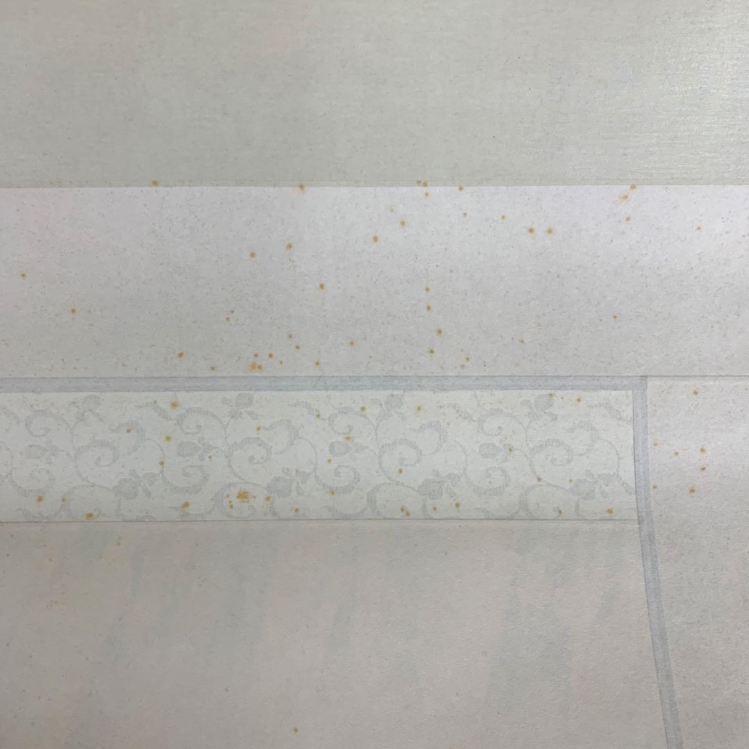 美品 掛け軸 広森耕仁作 夫婦鯉の滝登り図 共箱 太巻き付 美術年鑑掲載作家