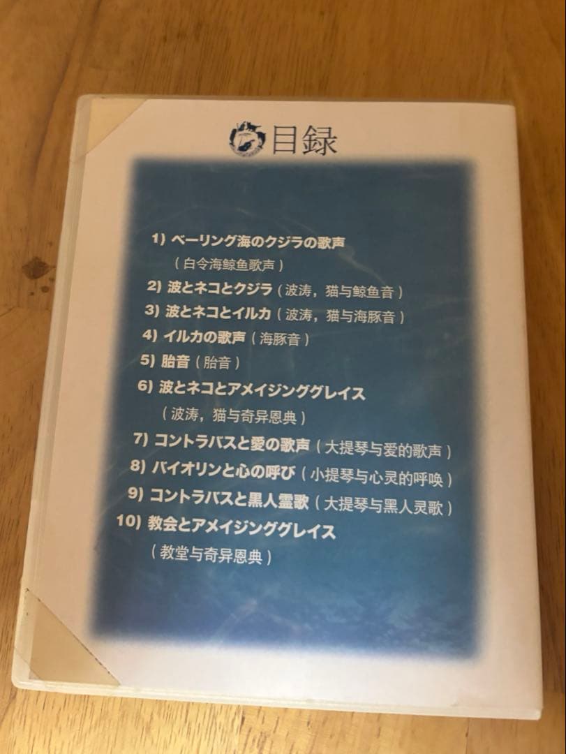 音響免疫療法チェア ボーンビートチェア