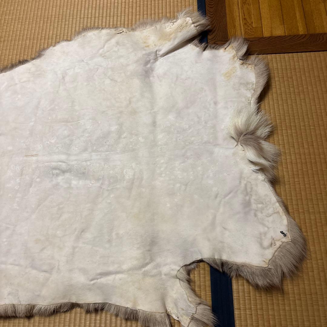 トナカイ毛皮　高級毛皮ラグ LARGE