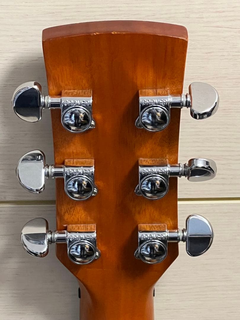 即発送 Ibanez Artwood AW250-LG