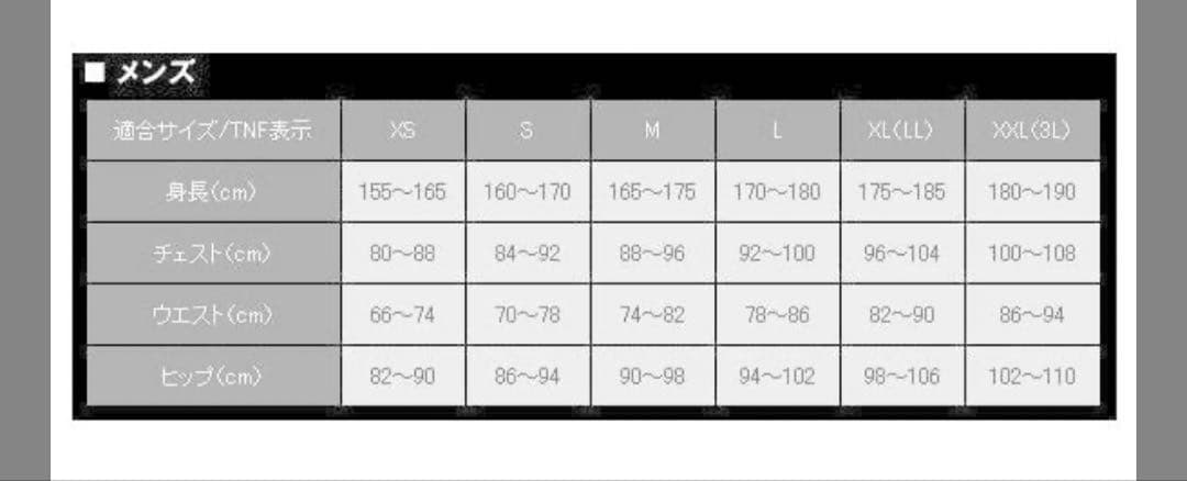 THE NORTH FACE マウンテン レインテックス ジャケット【Ｌ】