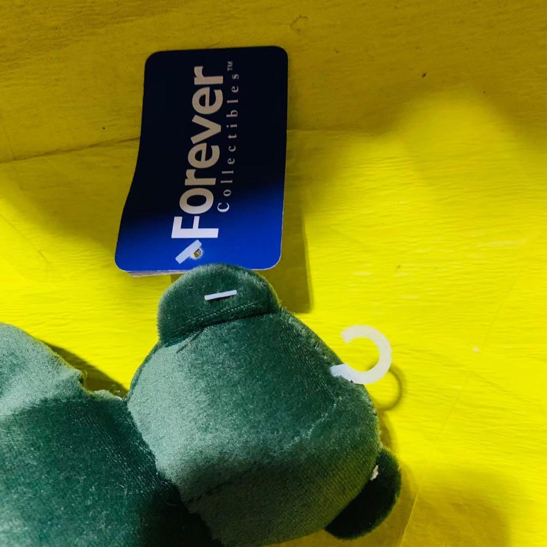 グリーンベイ・パッカーズ 旧ベアー 公式グッズ 激レア