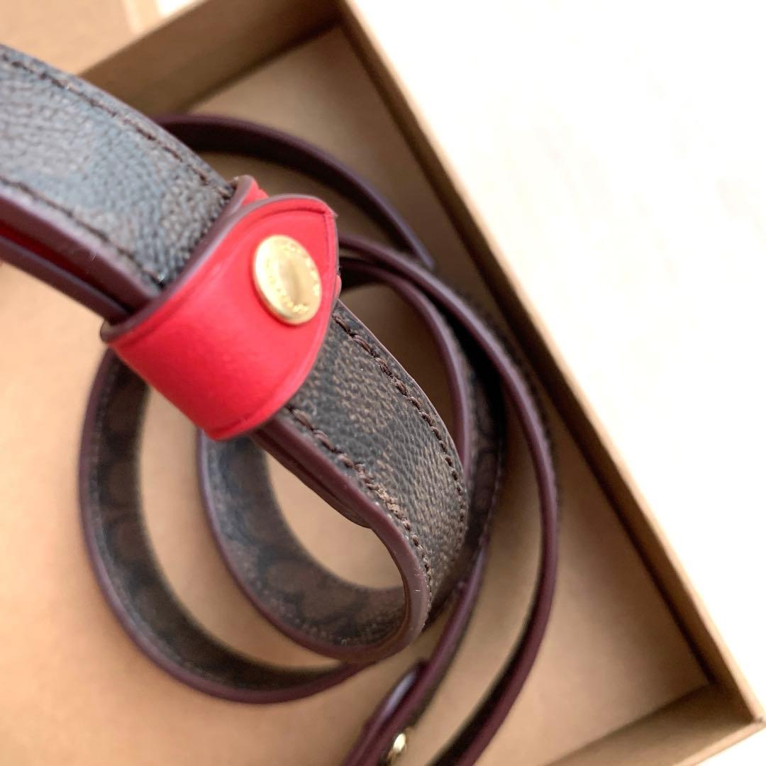 COACH コーチ　シグネチャー　赤　首輪　ドッグ　リード 小型犬　犬　ペット