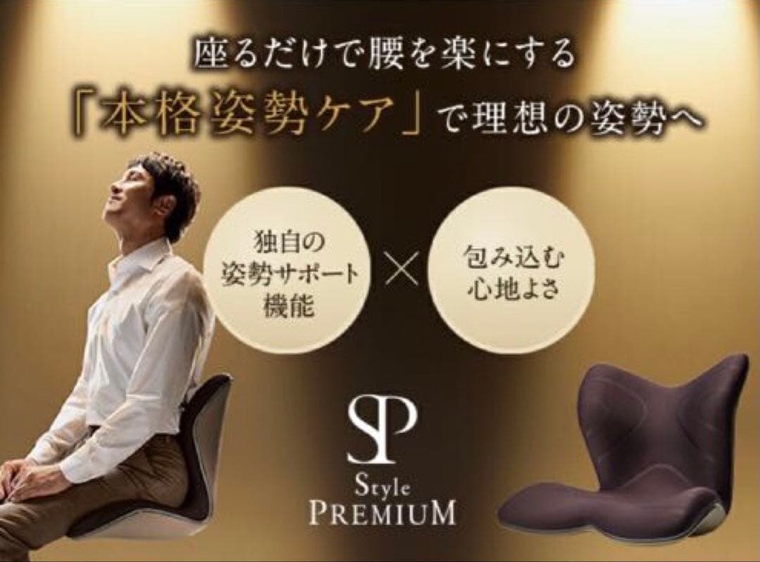 Style PREMIUM 骨盤・姿勢矯正クッション