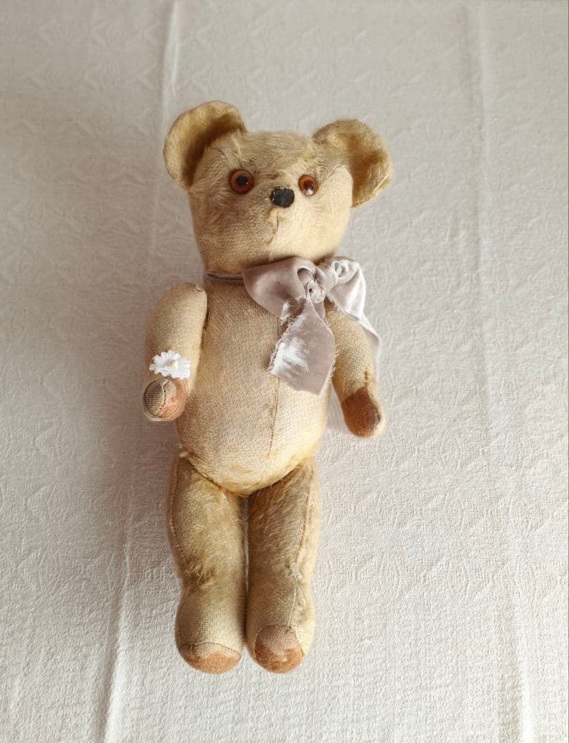 * antique bear ୨୧ .·*° オレンジの瞳が可愛い クマさん