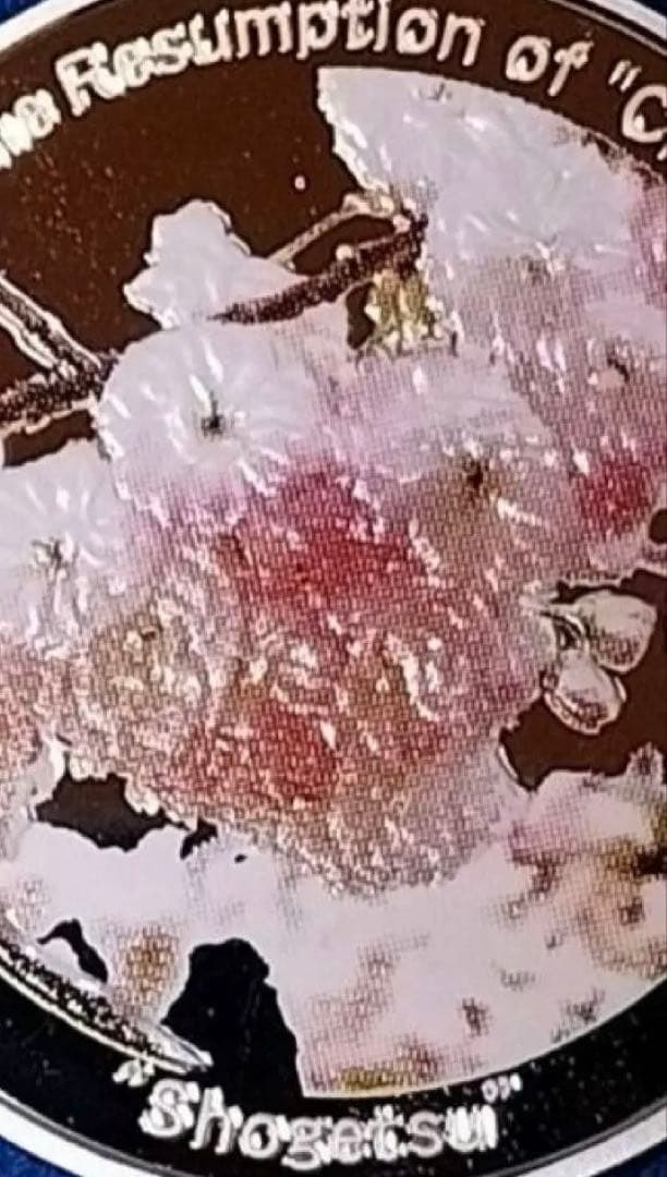 シルバー925 20g桜の通り抜け60年記念カラー銀メダル1点