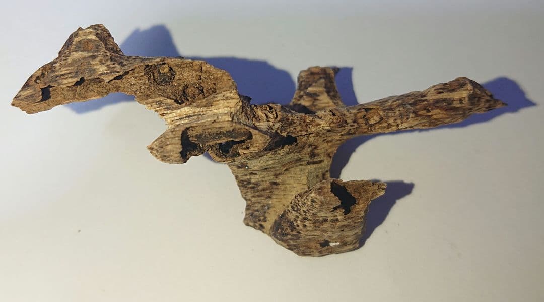 香木 沈香 伽羅 聞香◎品名 タイ産 南部③