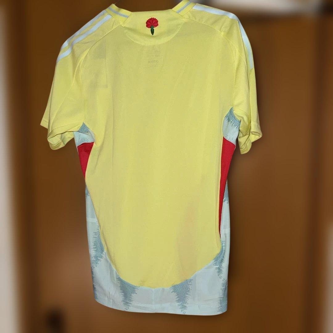 スペイン代表 サッカーシャツ オーセンティック adidas