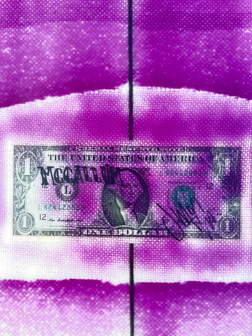 McCallum pinnacle egg 5'10\" マッカラム ピナクル