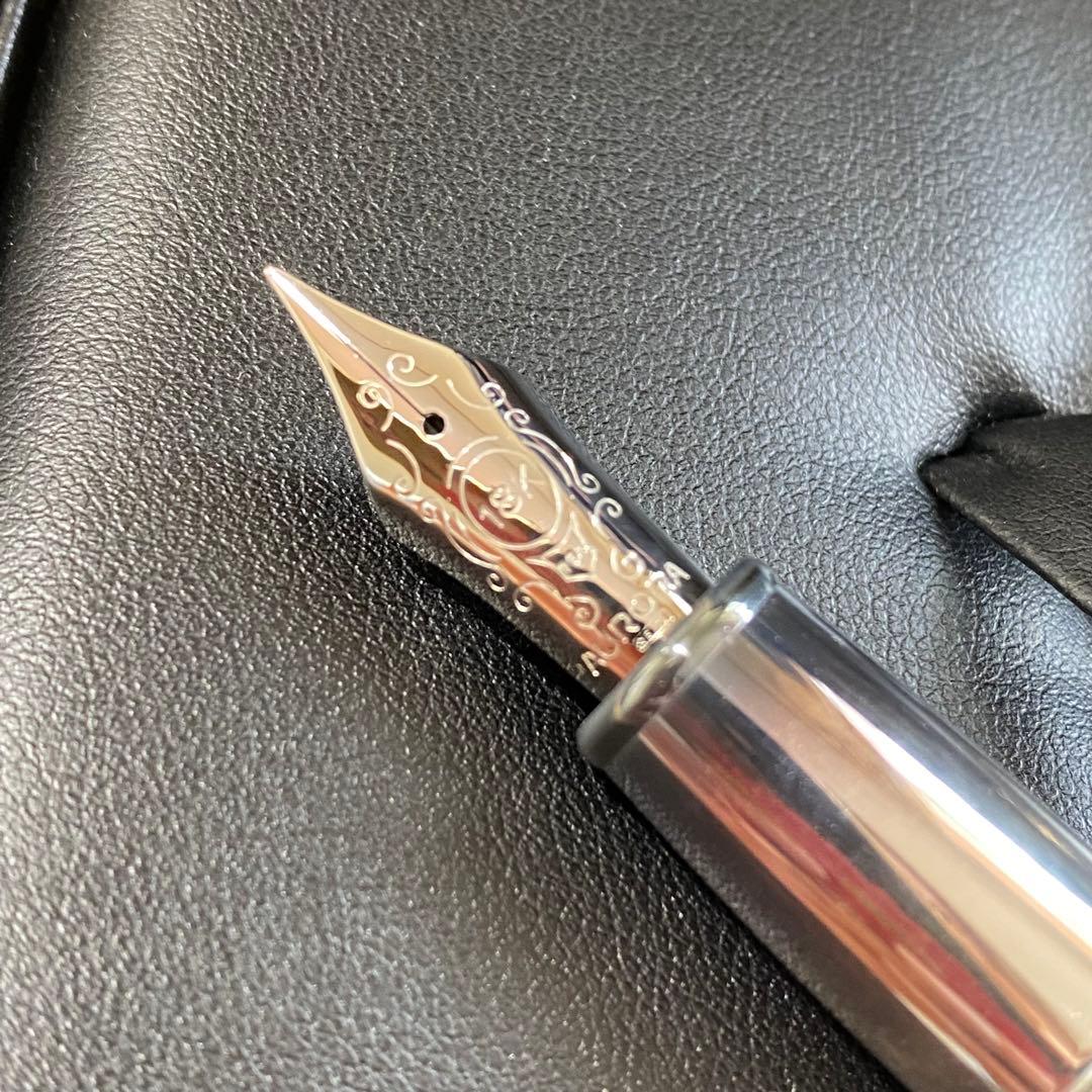 アウロラ　限定万年筆　オチェアーノインディアーノ　EF