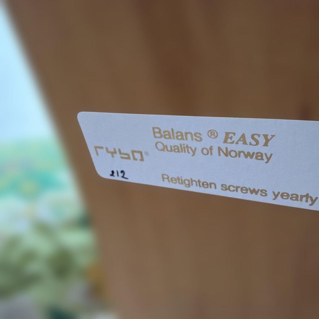 RYBO社 バランスチェア・イージー