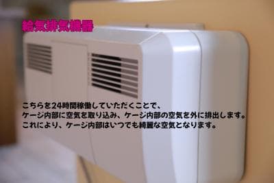 新品未使用｜防音ケージ｜小型犬向け｜キャスター付き｜ヒノキ材｜002