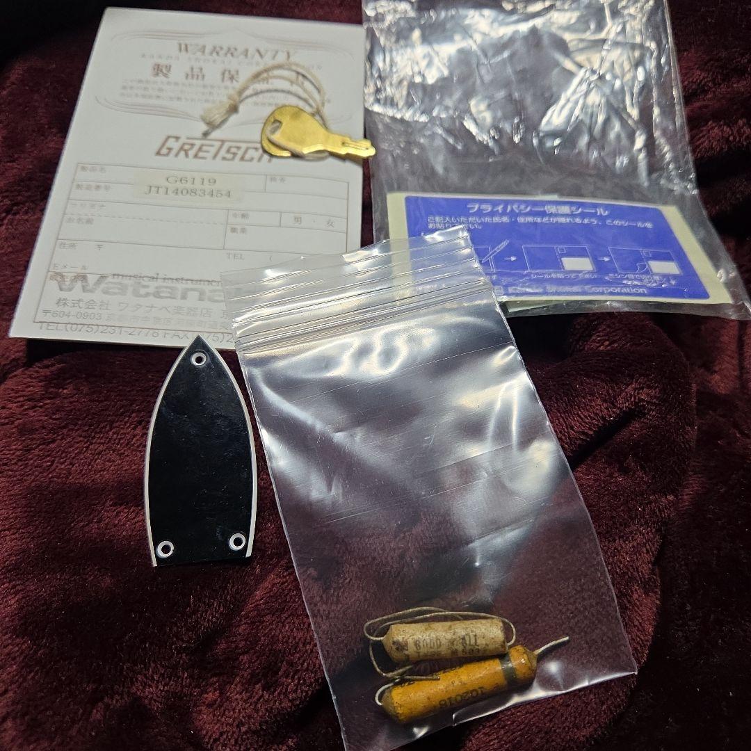 びわ　グレッチ 6119 ヴィブラメイトスポイラー付