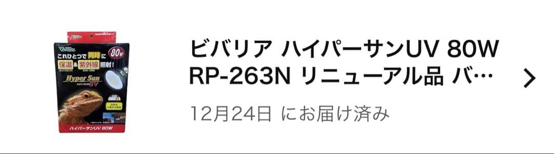 最終価格 爬虫類ケージ セット グラステラリウム他