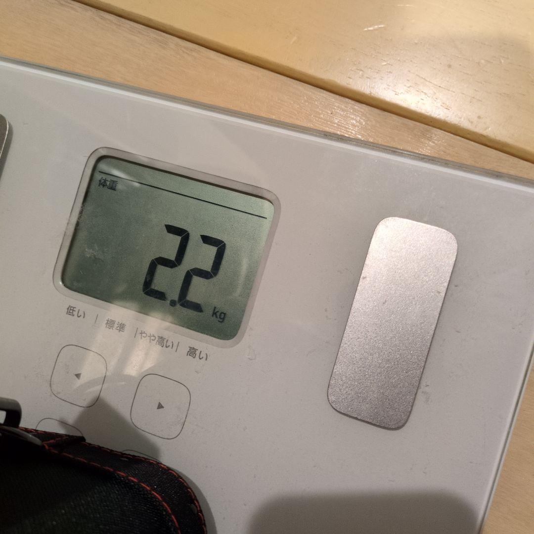 Vincitore(4Bx6S)ビリヤードキューケース(大容量)新品　ゆき