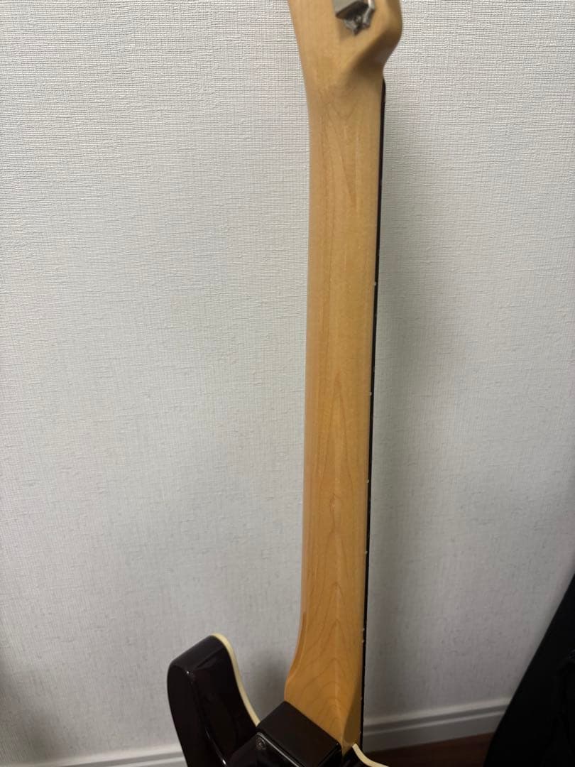 PSYCHEDERHYTHM ＨＯＬＬＯＷ－Ｔ　テレキャス　サイケデリズム