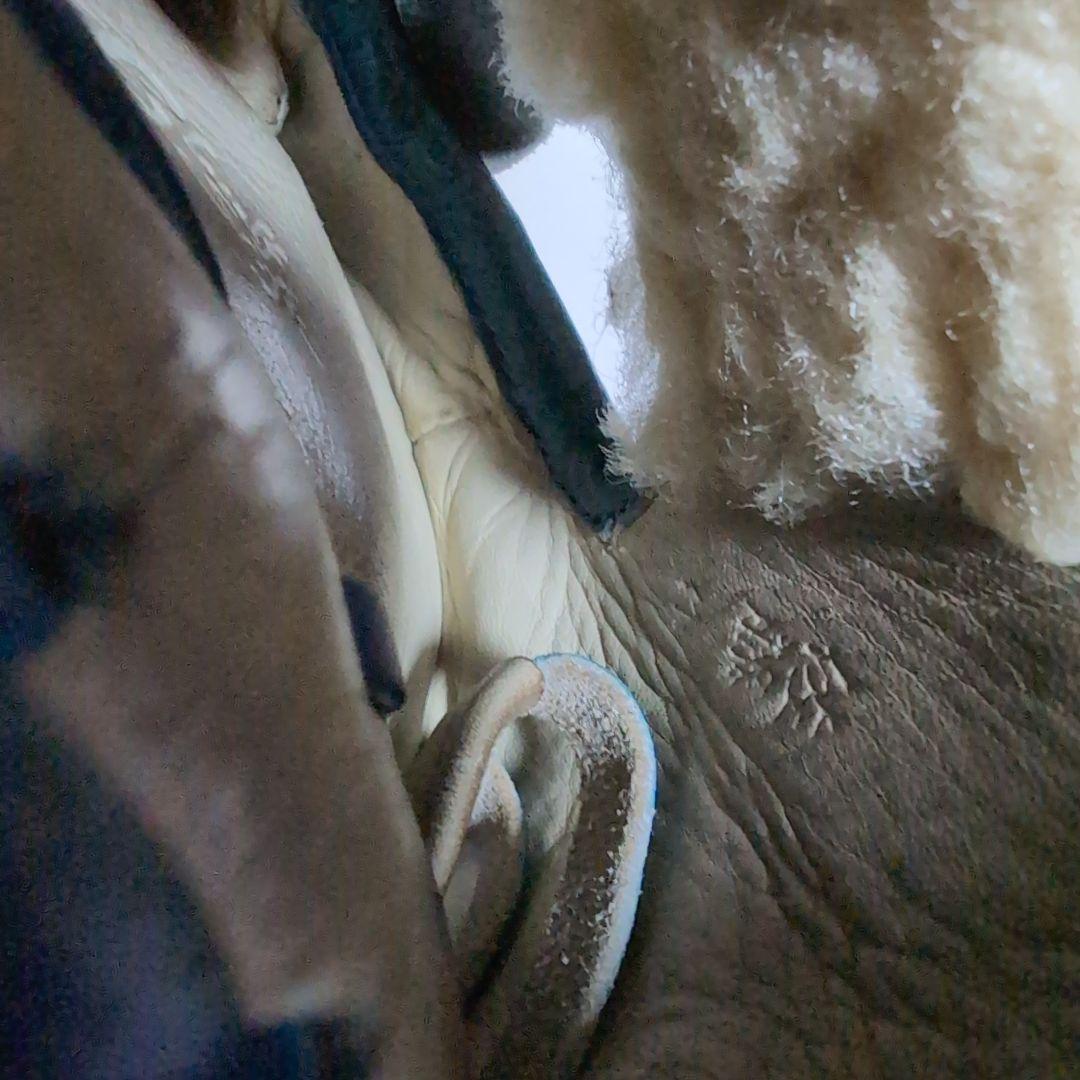 ETT 硬式グローブ K.Kawashita